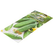 Раннеспелый огурец Артикул Изящный