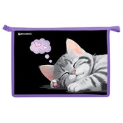 Папка для труда на молнии BRAUBERG А4, 2 отделения, органайзер, "Sleeping kitten", 273401