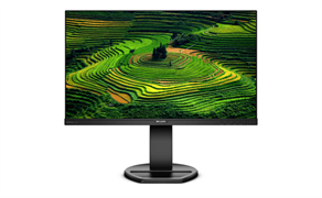 Монитор LCD 23.8'' 16:9 1920х1080(FHD) IPS, 75 Hz, 250 cd/m2, 1000:1, 50М:1, 5ms, VGA, DVI, HDMI, DP, USB-Hub, Height adj, Pivot, Tilt, Swivel, Speakers, 3Y, Black