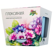 Набор для выращивания растений МАГИЯ ЦВЕТОВ "Глоксиния" (горшок, грунт, семена), mf-018