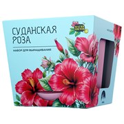 Набор для выращивания растений МАГИЯ ЦВЕТОВ "Суданская роза" (горшок, грунт, семена), mf-022