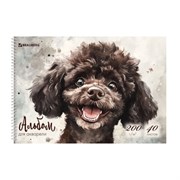 Альбом для акварели А4 40 л., бумага 200 г/м2, гребень, твердая подложка, BRAUBERG, "Пудель", 116885 Альбом для акварели А4 40 л., бумага 200 г/м2, гребень, твердая подложка, BRAUBERG, "Пудель", 116885