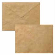Конверты С5 (162х229 мм) КРАФТ, клей, 90 г/м2, КОМПЛЕКТ 50 шт., треугольный клапан, BRAUBERG, 112364 Конверты С5 (162х229 мм) КРАФТ, клей, 90 г/м2, КОМПЛЕКТ 50 шт., треугольный клапан, BRAUBERG, 112364
