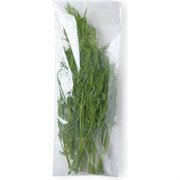 Пакет для зелени PACK INNOVATION IP00РР0MP01545.25-10