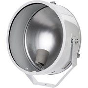 Прожектор TDM ELECTRIC ПЗМ-35