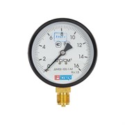 Манометр Метер ДМ 02-100-1-М