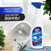 Средство для чистки ванной ЗОЛУШКА Ч 20-2