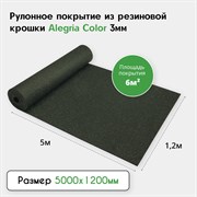 Резиновое рулонное покрытие Alegria color 850