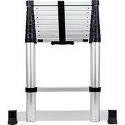 Телескопическая лестница Gigant LT-01 1x10