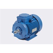 Электродвигатель МЭЗ У2-220/380-50IM1081-Р.К.В. К31Е-ААА IE1 Могилев АИР112МА6