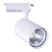 Потолочный светильник Arte Lamp A2664PL-1WH