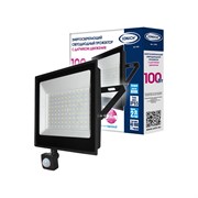 Светодиодный прожектор IONICH iflsled-dob-дд-100-865-bl-ip65