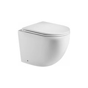 Безободковый приставной унитаз Teymi Lina HD T40104