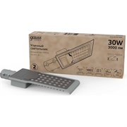 Уличный светильник GAUSS Avenue