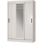 Шкаф-купе Арника Тео ШКК-02