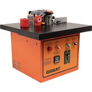 Кромкооблицовочный станок Gigant MF170A
