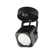 Накладной декоративный светильник Fametto DLC-S613