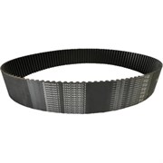 Зубчатый ремень Contitech 25STD81160