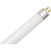 Лампа люминесцентная LightBest LBL