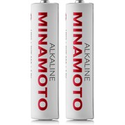 Батарейка MINAMOTO 405