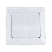 Двухклавишный выключатель NE-AD Aras