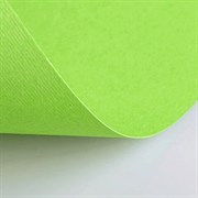 Бумага (картон) для творчества (1 лист) Fabriano Elle Erre А2+ 500х700 мм, 220 г/м2, светло-зеленый, 42450710