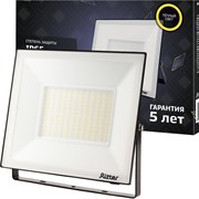 Светодиодный прожектор Ritter Profi