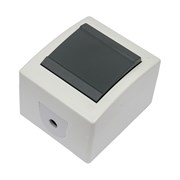 Клавишный однополюсный выключатель Aling-conel POWER