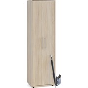 Шкаф для одежды Сокол ШО-1
