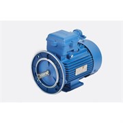 Электродвигатель МЭЗ 4ВР71В2