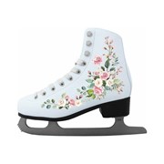 Фигурные коньки Atemi AFSKD03 00-00007827