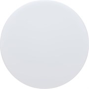 Потолочный светодиодный светильник Lightstar 225264