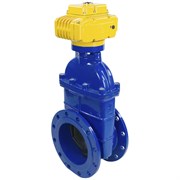 Клиновая задвижка DN.ru 30ч939р -250-10-GGG50-EPDM-F4-BLUE