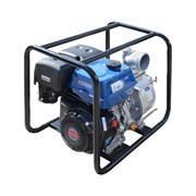 Мотопомпа ТСС PGT100