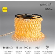 Светодиодный дюралайт Neon-Night 121-121