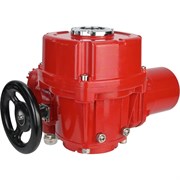 Электропривод DN.ru qt-w (m) ex-300