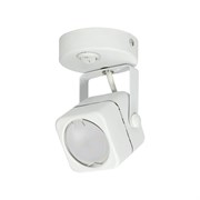 Накладной декоративный светильник Fametto DLC-S613