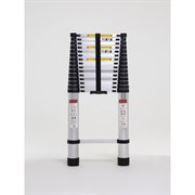 Телескопическая лестница WORKY ARD259177