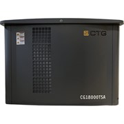 Газопоршневой газоагрегат CTG CG18000SA