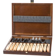 Набор резцов Narex Standart