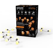 Садовая гирлянда GAUSS Solar