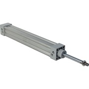 Пневмоцилиндр NBPT 81890