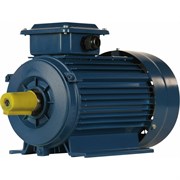 Электродвигатель 5АИ 80 В2 FT100 2.2/3000 IM 2181