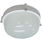 Светильник ЭЛЕТЕХ НПП 03-100-009 Банник 1101