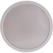 Светодиодная лампа Фарлайт FAR000009