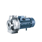 Моноблочный насос Purity PZ 50-125/30 (N)