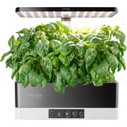 Гидропонная установка CACTUS Garden