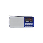 Цифровой радиоприемник Perfeo ЕГЕРЬ