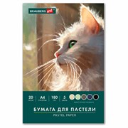 Бумага для пастели А4 в папке, 20 листов 5 цветов, 180 гр/м2, BRAUBERG ART CLASSIC, 116345