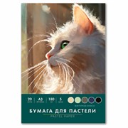 Бумага для пастели БОЛЬШАЯ А3 в папке, 20 листов 5 цветов, 180 гр/м2, BRAUBERG ART CLASSIC, 116346